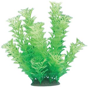 Akváriová rastlina Ambulia plast 14 - 17 cm, voľná FLIPPER