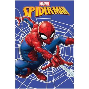 Flísová  Deka  100x150  Spiderman  Web