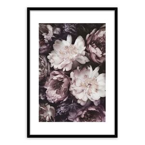 Framepic 50x70 Fp074 Violet Flowers