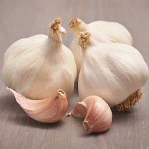 Garlic flavor 0.5 kg 45-55MM