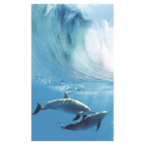Obklad Dolphins A komplet 100/60