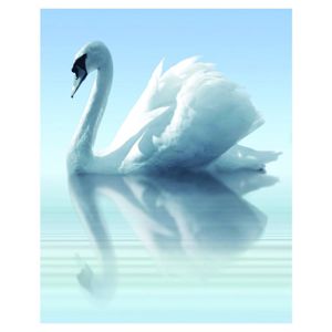 Obklad Water And Swan A 75/60