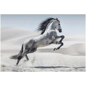 Obraz Glasspik Animals2 80X120 EX934 HORSE GL-00340