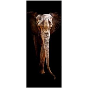 Obraz Glasspik Animals3 50X125 SG GL250  Elephant