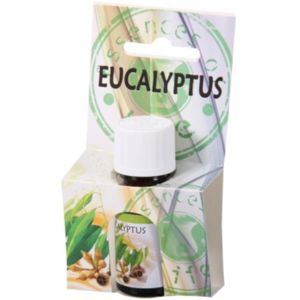Olej esenciální eukalyptus 10ml