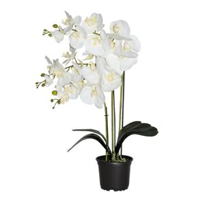 Prémiová umelá orchidea s 3 výhonkami
