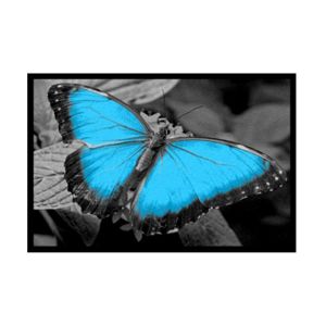 Rohožka  Blue Butterfly 50x80 03040013