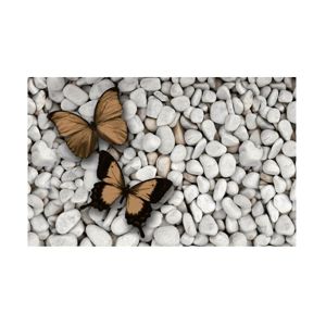 Rohožka  Butterflies 40x60 03010002