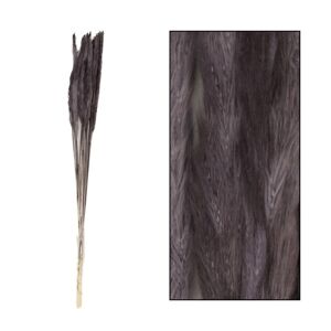 Umelá čierna pampová tráva 65-75 cm